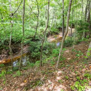 Photo #46 of 2826 Burkeville RD, Victoria, VA 86.3 acres