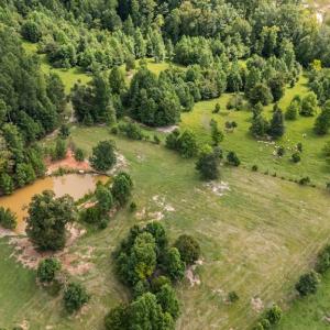 Photo #47 of 2826 Burkeville RD, Victoria, VA 86.3 acres