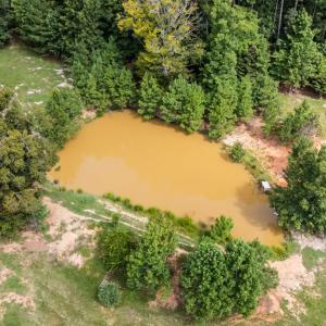 Photo #48 of 2826 Burkeville RD, Victoria, VA 86.3 acres