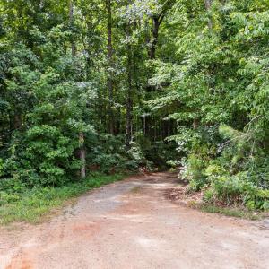 Photo #51 of 2826 Burkeville RD, Victoria, VA 86.3 acres