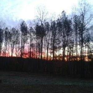Photo #52 of 2826 Burkeville RD, Victoria, VA 86.3 acres