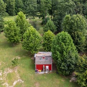 Photo #40 of 2826 Burkeville RD, Victoria, VA 86.3 acres