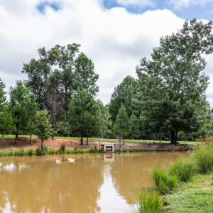Photo #51 of 2826 Burkeville RD, Victoria, VA 86.3 acres