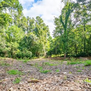 Photo #50 of 830 Buffalo Street, Farmville, VA 0.4 acres