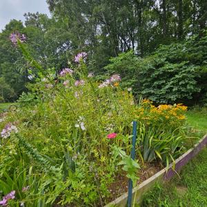 Photo #13 of 266 Legrande Rd, Dillwyn, VA 10.6 acres