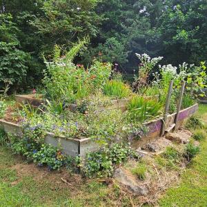 Photo #43 of 266 Legrande Rd, Dillwyn, VA 10.6 acres
