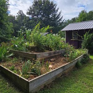 Photo #44 of 266 Legrande Rd, Dillwyn, VA 10.6 acres