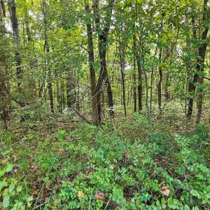 Photo #49 of 266 Legrande Rd, Dillwyn, VA 10.6 acres
