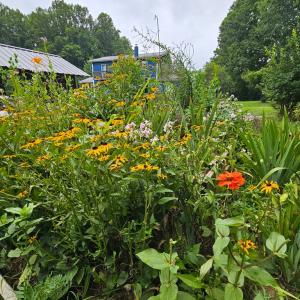 Photo #5 of 266 Legrande Rd, Dillwyn, VA 10.6 acres