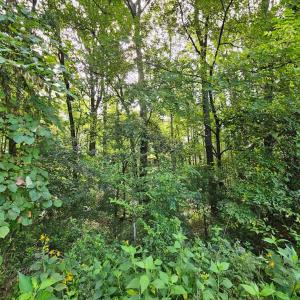 Photo #54 of 266 Legrande Rd, Dillwyn, VA 10.6 acres