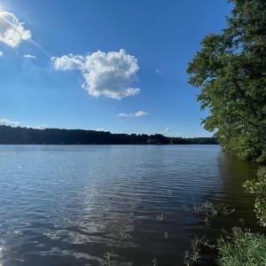 Photo #47 of 2530 Great Creek Drive, LaCrosse, VA 1.6 acres