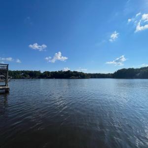Photo #48 of 2530 Great Creek Drive, LaCrosse, VA 1.6 acres