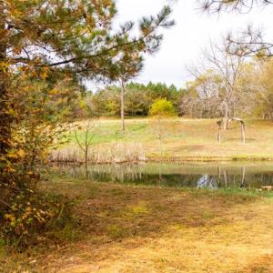 Photo #66 of 574 Old Kings Rd, Drakes Branch, VA 105.3 acres