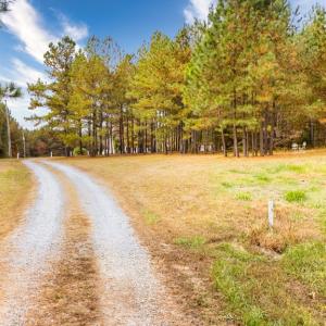 Photo #67 of 574 Old Kings Rd, Drakes Branch, VA 105.3 acres