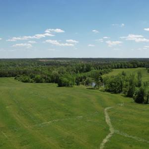 Photo #33 of 1501 Saxkey Rd, Drakes Branch, VA 86.0 acres