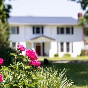 Photo #2 of 1501 Saxkey Rd, Drakes Branch, VA 86.0 acres