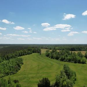 Photo #38 of 1501 Saxkey Rd, Drakes Branch, VA 86.0 acres