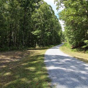 Photo #5 of 370 Campbell Meadows Terrace, New Canton, VA 17.1 acres