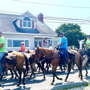 Photo #84 of 3340 MAIN ST, CHINCOTEAGUE, VA 0.2 acres
