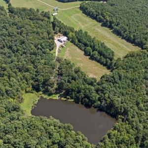 Photo #2 of 1159 Cedar Hill Road, Blackstone, VA 96.1 acres