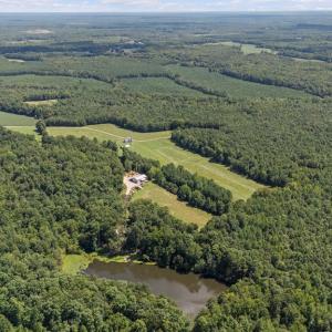 Photo #4 of 1159 Cedar Hill Road, Blackstone, VA 96.1 acres
