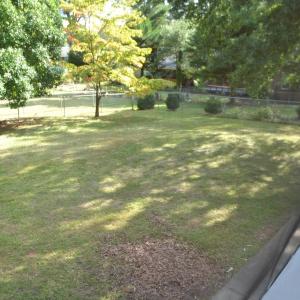Photo #13 of 1203 Fifth Avenue, Farmville, VA 0.3 acres