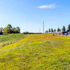 Photo #63 of 293 Sandy River Road, Green Bay, VA 6.3 acres