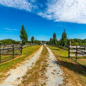 Photo #44 of 293 Sandy River Road, Green Bay, VA 6.3 acres