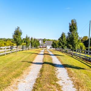 Photo #47 of 293 Sandy River Road, Green Bay, VA 6.3 acres