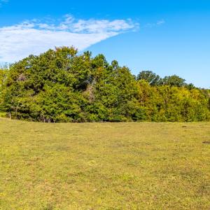 Photo #48 of 293 Sandy River Road, Green Bay, VA 6.3 acres