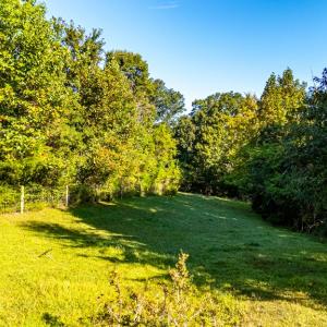 Photo #51 of 293 Sandy River Road, Green Bay, VA 6.3 acres