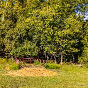 Photo #52 of 293 Sandy River Road, Green Bay, VA 6.3 acres