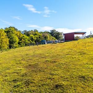 Photo #53 of 293 Sandy River Road, Green Bay, VA 6.3 acres