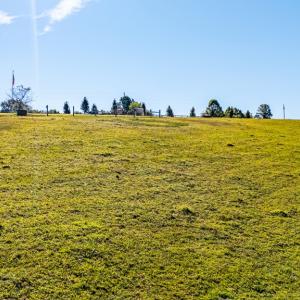 Photo #54 of 293 Sandy River Road, Green Bay, VA 6.3 acres