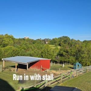 Photo #56 of 293 Sandy River Road, Green Bay, VA 6.3 acres