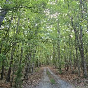 Photo #22 of 906 Equestrian Trails Rd, New Canton, VA 44.3 acres