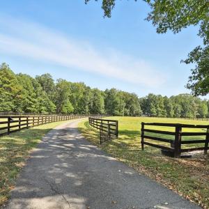 Photo #10 of 14150 Bear Slash Trail, Ashland, VA 23.3 acres