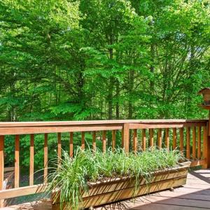 Photo #34 of 3640 Michaux Mill, Powhatan, VA 11.4 acres