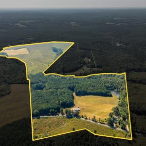 Photo #4 of 1562 Rocks Church Rd, Pamplin, VA 114.1 acres