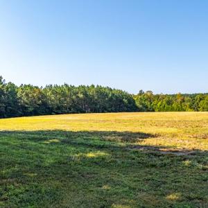 Photo #53 of 1562 Rocks Church Rd, Pamplin, VA 114.1 acres