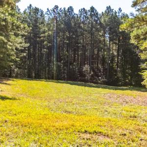 Photo #55 of 1562 Rocks Church Rd, Pamplin, VA 114.1 acres