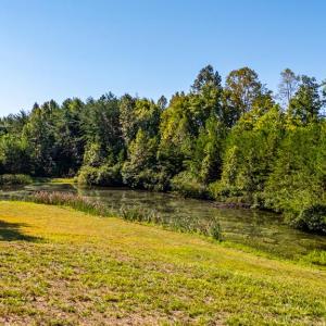 Photo #56 of 1562 Rocks Church Rd, Pamplin, VA 114.1 acres