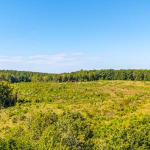 Photo #57 of 1562 Rocks Church Rd, Pamplin, VA 114.1 acres