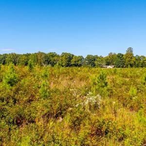 Photo #60 of 1562 Rocks Church Rd, Pamplin, VA 114.1 acres