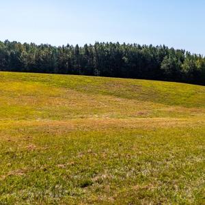 Photo #64 of 1562 Rocks Church Rd, Pamplin, VA 114.1 acres