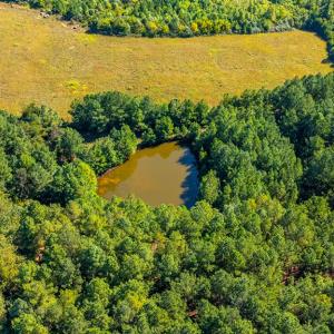 Photo #65 of 1562 Rocks Church Rd, Pamplin, VA 114.1 acres