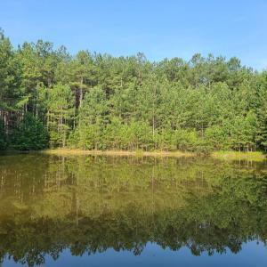 Photo #69 of 1562 Rocks Church Rd, Pamplin, VA 114.1 acres