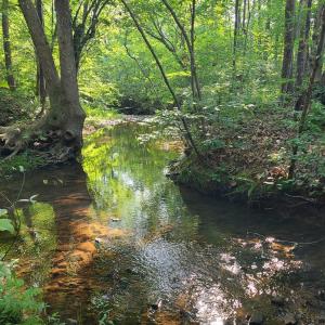 Photo #71 of 1562 Rocks Church Rd, Pamplin, VA 114.1 acres