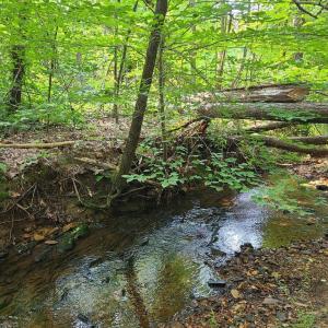 Photo #72 of 1562 Rocks Church Rd, Pamplin, VA 114.1 acres