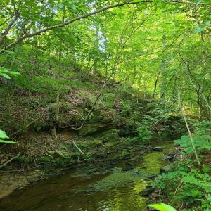 Photo #73 of 1562 Rocks Church Rd, Pamplin, VA 114.1 acres